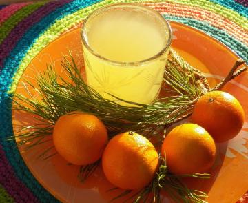 C vitamini ile mandarin-köknar içecek Noel yenilik 2020!
