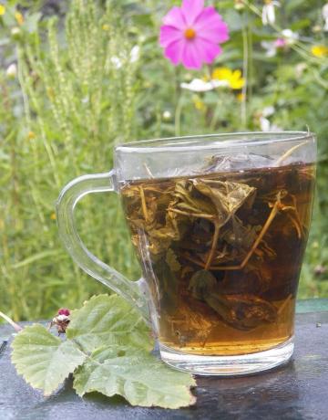 Sonbahar bitkisel çay, kan sulandırıcı Antiprostudny