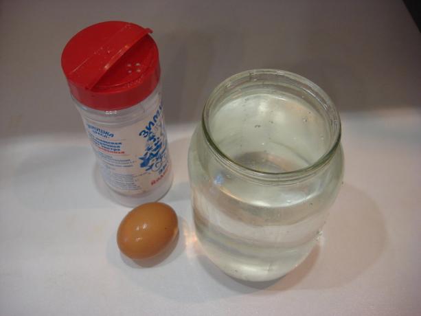 yazarın Fotoğraf (tuz, su kavanoz, yumurta, sağa kaydırma)