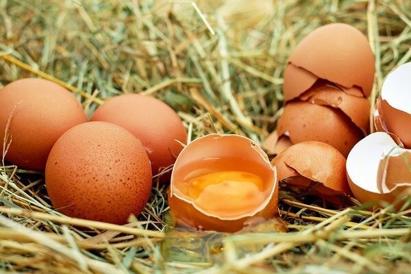 Vücuttaki parazitlerin görünümünü tehdit ettiği için yumurtalar taze yenmemelidir (Fotoğraf: Pixabay.com)