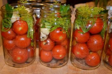 Kış için turşusu domates "Zadonsk"