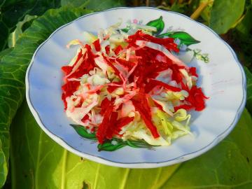 Sabah bağırsak temizleme Salata "Sonbahar Süpürge". zayıflama etkisi. Ayna Hurra bağır!