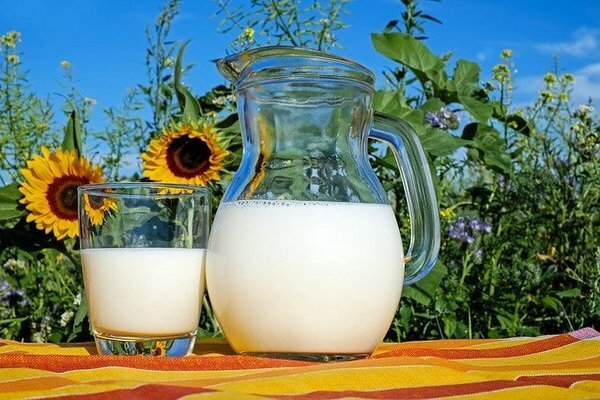 Özel çiftliklerden süt almak daha iyidir (Fotoğraf: Pixabay.com)