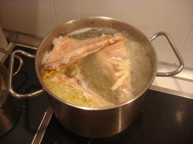 (Çorba eklenti balık, patates, soğan ve havuç) yazar tarafından alınan resim