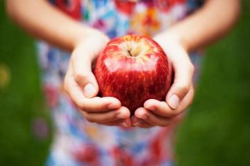 Treat elmalar: böbrek taşları, varis, kalp krizi, vb