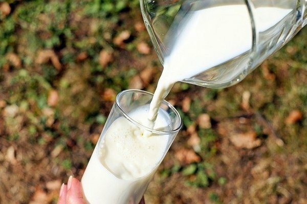 Ancak bir bardak sütten sonra midede veya bağırsaklarda rahatsızlık hissederseniz, fermente süt ürünleri lehine reddetmek daha iyidir (Fotoğraf: Pixabay.com)