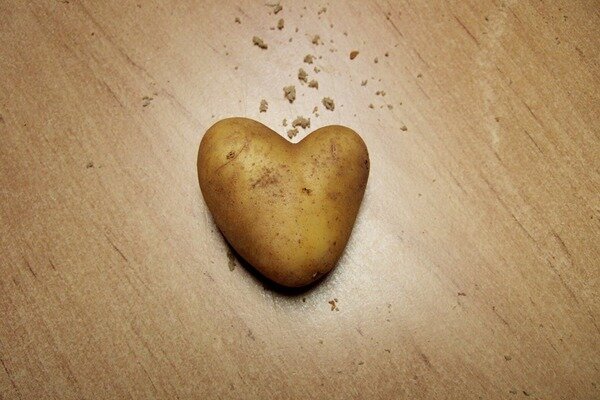 Patates kalp hastalığına yardımcı olur (Fotoğraf: Pixabay.com)