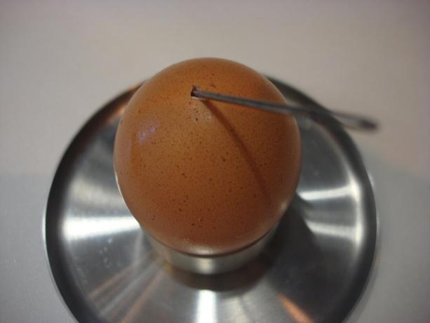 yazarın Fotoğraf (bir iğne ile delinmiş yumurta, sağa kaydırın)