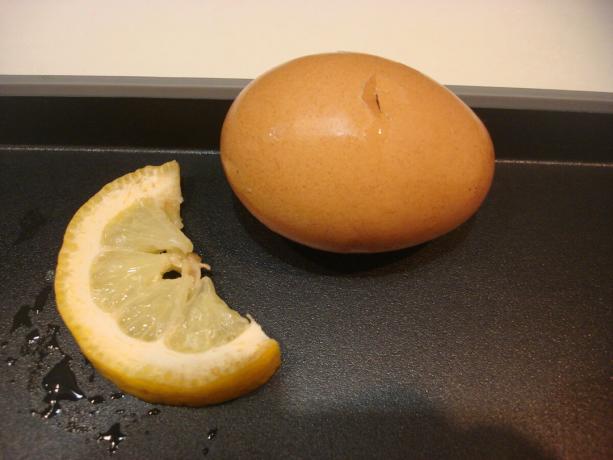 Yazar tarafından çekilen resmi (limon, yumurta)