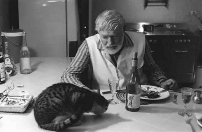 Ernest Hemingway kediyle akşam yemeği vardır.